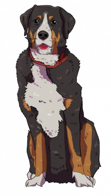 Bruno